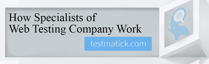 How Specialists of Web Testing Company Work