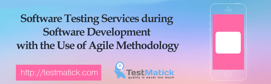 Software Testing Services during Software Development with the Use of Agile Methodology