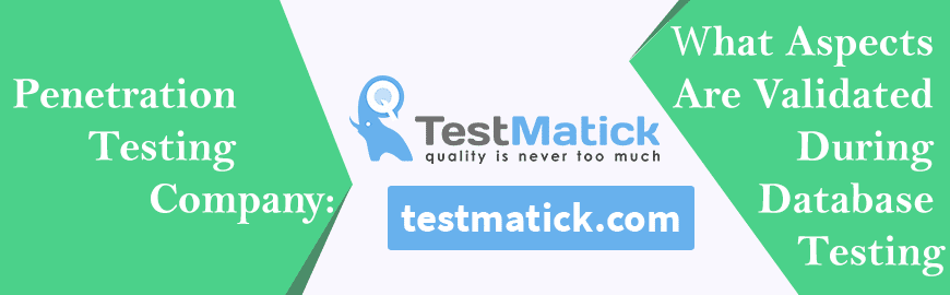Penetration Testing Company: What Aspects are Validated During Database Testing