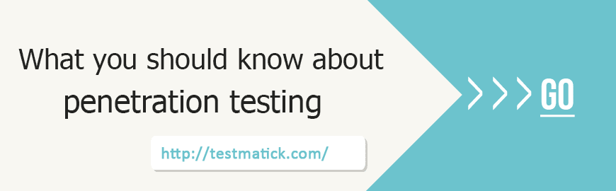 What You Should Know About Penetration Testing