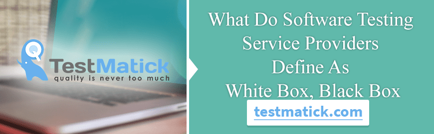 What Do Software Testing Service Providers Define As White Box, Black Box