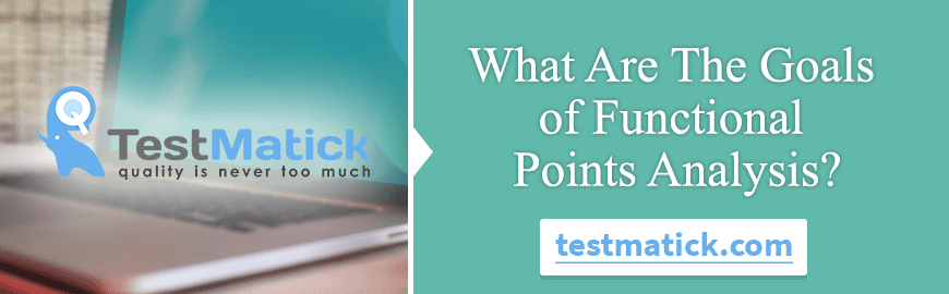 What Are The Goals of Functional Points Analysis?